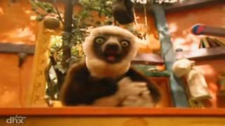 Zoboomafoo Abertura HD 60 FPS [upl. by Lisabet]