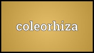 Coleorhiza Meaning [upl. by Castorina]