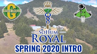 Sohum Royal Spring 2020 Intro Rockefeller Forest Humboldt County USA [upl. by Wiersma]