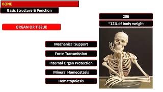 1 DEVELOPMENTAL ABNORMALITIES IN BONE CELLS MATRIX amp STRUCTURE  I [upl. by Assiralk]