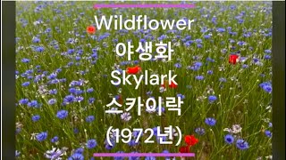 팝송 가사한글 번역 Wildflower 야생화  Skylark 스카이락 1972년 [upl. by Gordan323]