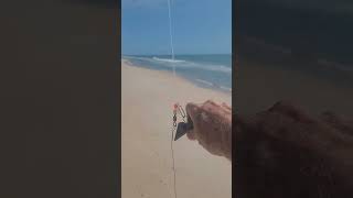 Casting shark leader baited with mullet head at Playalinda beach tight lines [upl. by Herwin484]