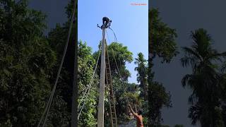 Electrical PHC Pole 11 Kva Lineman Life mylife electrican shorts shortsfeed lineman line [upl. by Mason]