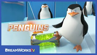 quotNorth Wind Headquartersquot Clip  PENGUINS OF MADAGASCAR [upl. by Sletten285]