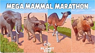 North American Camel Polar Bear Takin Water Buffalo African Elephant  Planet Zoo Animals Race [upl. by Eduardo]