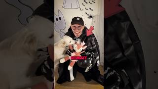 Ich habe das LIEBLINGSSPIELZEUG von meinem Hund entführt👻🙀 vlog hund halloween2024 [upl. by Annabella]