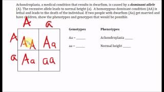 Achondroplasia Domiant Trait [upl. by Cayla]