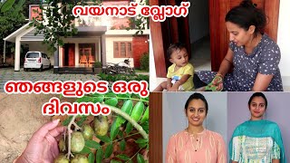 രാവിലെ മുതൽ രാത്രി വരെ ഞങ്ങളുടെ ഒരു ദിവസംപാലക്കാടൻ സ്പെഷ്യൽ പുളിയിഞ്ചി ഉണ്ടാക്കാം [upl. by Arraek]