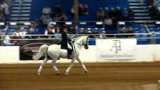 Dressage 3Scottsdale Arabian Horse Show2011 [upl. by Cristoforo287]