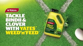 How to control broadleaf weeds in the lawn with Yates Weed n Feed HoseOn [upl. by Atteuqahc]