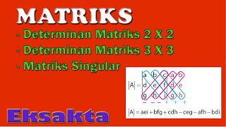 Determinan Matriks  Matriks Singular  Matriks 2 [upl. by Ayoted200]