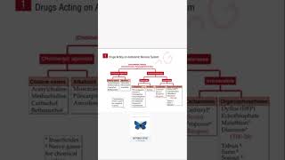 cholinergic drug pharmacology mbbs aiims medicine medicos reels shorts pg [upl. by Gingras]