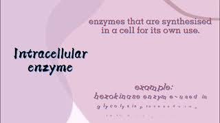 Catalyst Biology Click intracellular and extracellular enzymes [upl. by Misak75]