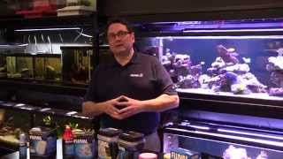 HOW TO Fix Aquarium Water Issues [upl. by Aratas]