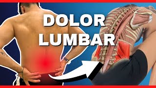 🔴 Los Mejores 5 Ejercicios para Mejorar Tu DOLOR LUMBAR ¡NO TE QUEDES PILLADO [upl. by Anod]