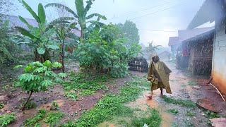 Walking in the rainbeautiful Indonesian countrysideheavy rain all day [upl. by Mylo]