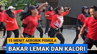 15 MENIT SENAM AEROBIK PEMULA BAKAR LEMAK DAN KALORI [upl. by Enetsirhc]