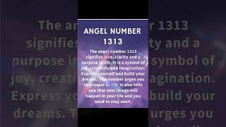 Angel number 1313 message for you ❤️ [upl. by Marolda781]