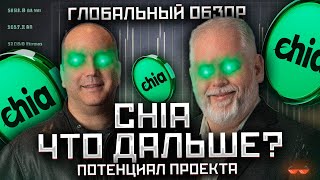 xch CHIA NETWORK  что дальше Будут ли искы [upl. by Fatima]