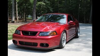 Full 700hp Mustang cobra review  TERMINATOR [upl. by Eilzel]