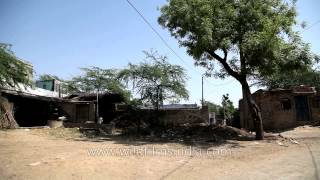 Deoli Village  Bharatpur Rajasthan [upl. by Cedar]