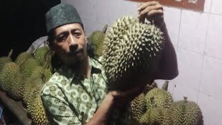 KEBANJIRAN DURIAN MONTONG HARGA GROSIR COCOK UNTUK DI JUAL LAGI STOK MELIMPAH SAHARA TANI [upl. by Hoffman922]