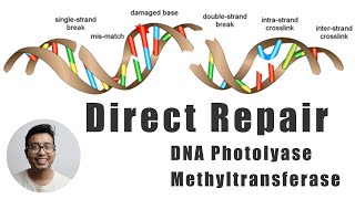 Direct repair of damaged DNA mechanism explained for medical students [upl. by Annaillil]