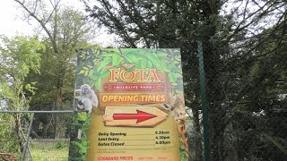 Fota Wildlife Park May 2023 [upl. by Seward]