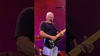 Pink Floyd’s Comfortably Numb Guitar Solo – Gilmour amp Waters Reunite 🎸shorts guitarsolo pinkfloyd [upl. by Therron]