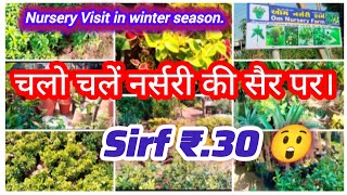 😍plant nursery visit in winter seasonOmnurserybhachauwinter flower plant and permanent plant [upl. by Nothgiel]