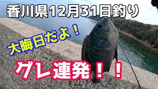 香川県2023年12月31日 大晦日だよ！グレ連発！！ [upl. by Eilatam640]