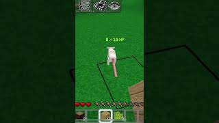 Minecraft rat 🐀 and fox 🦊 minecraft minecraftminecraftminecraft rat fox games [upl. by Dnomsaj]