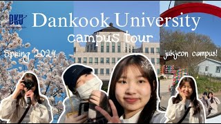 DANKOOK UNIVERSITY JUKJEON CAMPUS TOUR  Spring 2024 🏫🌸✨ [upl. by Flavius]