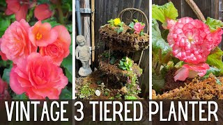 Planting A Vintage 3 Tiered Planter in the Shade Garden 🌺  Shade Plants Begonias [upl. by Elleved]