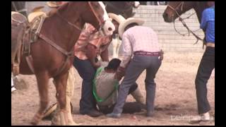 24  Lo Mejor de los Coleaderos  Noria del Cerro Pánfilo Natera [upl. by Pimbley]