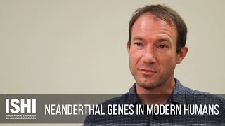 Neanderthal Genes in Modern Humans [upl. by Kcam460]