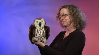 Folkmanis® Sawwhet Owl Puppet Demo  Retired [upl. by Tamar]