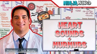 Heart Sounds amp Murmurs  Clinical Medicine [upl. by Dorison392]