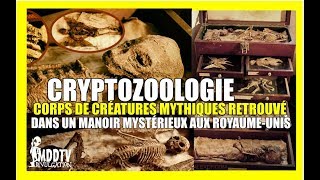 CRYPTOZOOLOGIE  CORPS DE CRÉATURES MYTHIQUES RETROUVÉ AUX ROYAUMEUNIS MDDTV [upl. by Ativet]