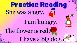 Learn EnglishHow to readPractice Reading Simple Sentences [upl. by Anaugal]