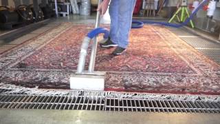 CLEANING SILK ORIENTAL RUG  PetPeePee® [upl. by Aurel]