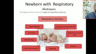 Case 27 how to differentiate between RDS AND NEONATAL pneumonia [upl. by Minda345]