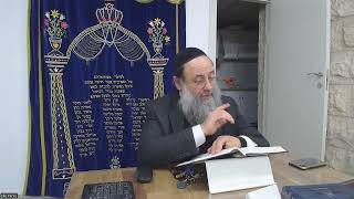 Halaha  hilhote Deote chap 2 h3 Rav Elie Perez [upl. by Notxarb]