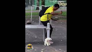 The change of dog  Part 2 🦮 😂 shortvideo [upl. by Dietsche]