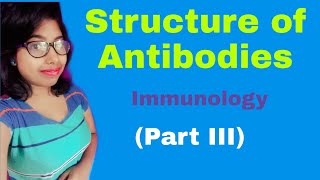 Structure of antibodies or immunoglobulins [upl. by Nylareg]