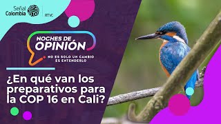 Noches de Opinión  ¿En qué van los preparativos para la COP 16 en Cali [upl. by Hannazus101]