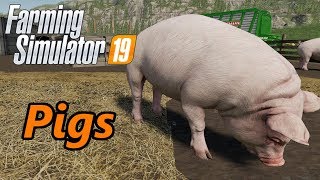 Farming Simulator 19 Tutorial  Pigs [upl. by Niltiac]