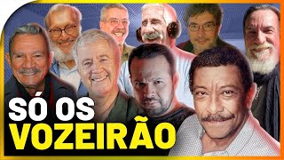 10 VOZES MAIS GRAVES da dublagem que VOCÊ JÁ OUVIU  Os Melhores Dubladores 8 [upl. by Ahsikar]