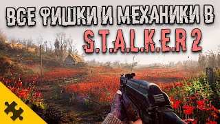 STALKER 2 ВСЕ ФИШКИ ГОЛОД УРАГАНЫ ВЫБРОСЫ могут УБИТЬ ГЛЮКИ ЗОМБИСТАЛКЕРЫ АНОМАЛИИ СТАЛКЕР [upl. by Holmen142]