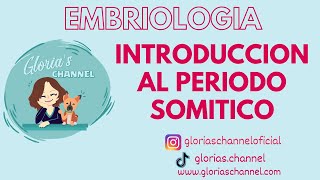 Embriologia humana Periodo somitico Introduccion [upl. by Kym]